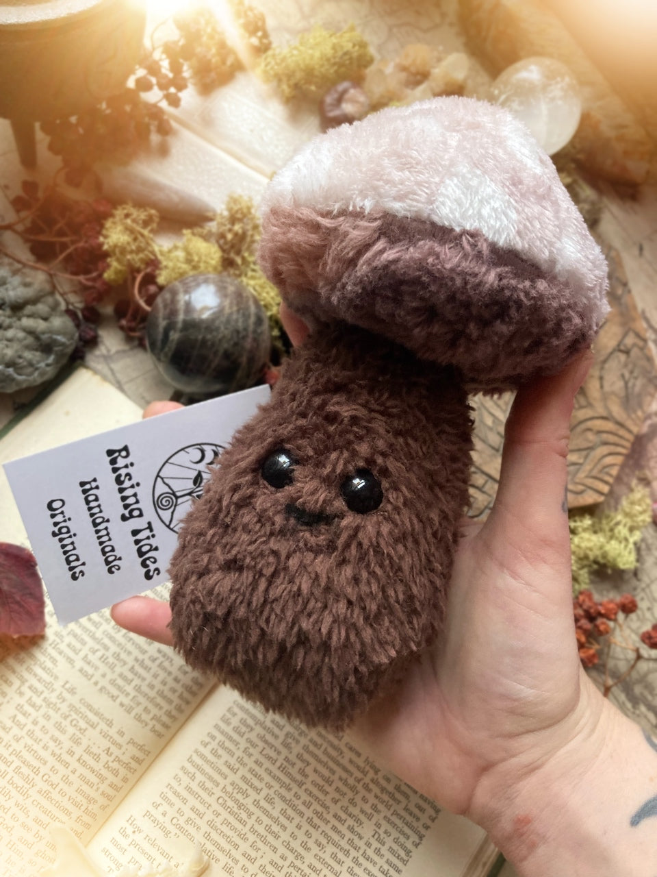 BROWN PLUSHIE MUSHIE Handmade Plush Mushroom Friend