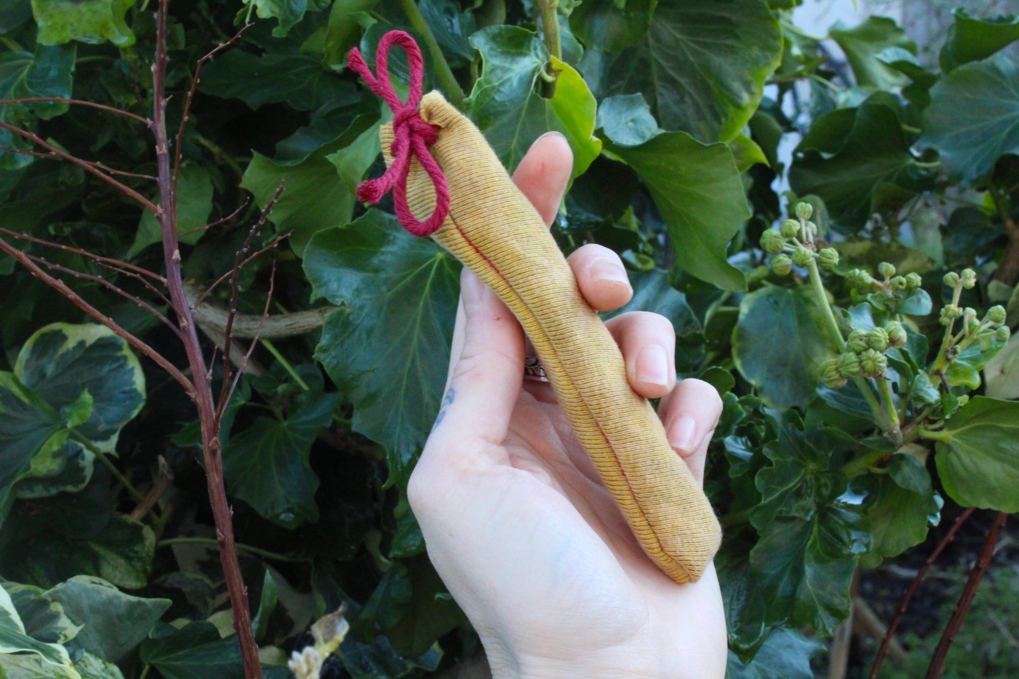 Beetroot Dyed Elder Wilderness Whistle