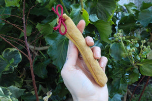 Beetroot Dyed Elder Wilderness Whistle